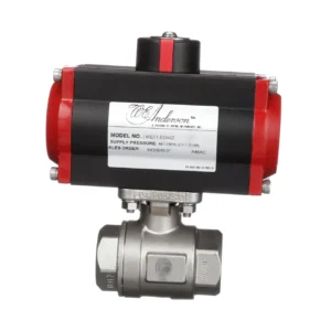 SERIES WE01 2-PIECE NPT STAINLESS STEEL BALL VALVE