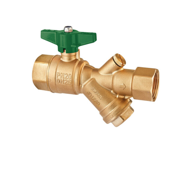 BALL VALVE WITH STRAINER – CHECK VALVE AND TEST POINT