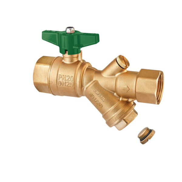 BALL VALVE WITH STRAINER – CHECK VALVE – TEST POINT AND DRAIN PLUG