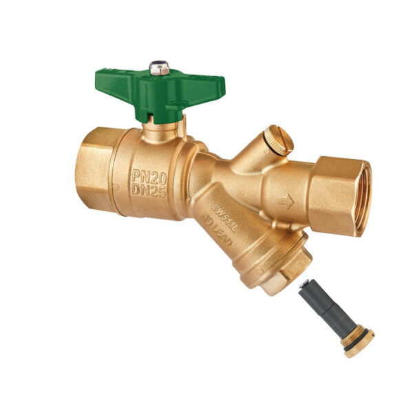 BALL VALVE WITH STRAINER – MAGNET – CHECK VALVE AND TEST POINT