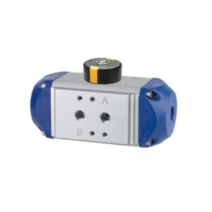 Pneumatic actuators